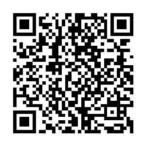 另一方面也想看看敢在佣兵之城内动手的人会受到什么样的处罚二维码生成