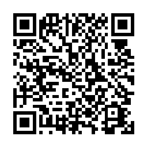 另一枚与一小堆碎片放在另一个托盘之内送到张潇晗面前二维码生成