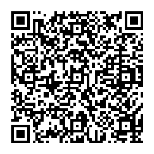 另一边掌握着所有监控画面的林光山和完全没有掌握监控的佣兵们就好像是明眼人打瞎子一样二维码生成