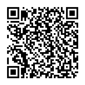 另一面正是死命冲击的紫世天意缓缓被在血姬冷控制下的千罗门逐步磨灭符文二维码生成