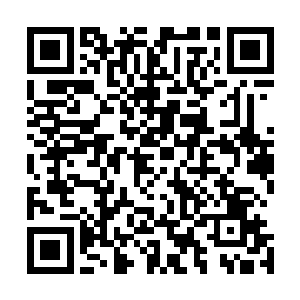 另外……这个基地的大部分人都在抵抗我们的过程中死亡了二维码生成