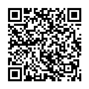 另外一些寨子则舔着脸去给沈门草堂几位管事的甘心做狗二维码生成