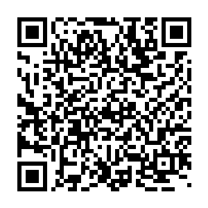 另外一位朝着轮回殿殿主出手的老者却是没有看到自己生前的一幕幕二维码生成