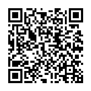 另外三人也都不约而同地使用远距离的攻击秘宝和武技二维码生成