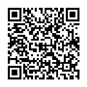 另外三只实力达到圣皇境界的凶兽依然还在和众人大战二维码生成