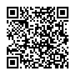 另外几位法师的视线更是小心翼翼的跟着秦宇的手走二维码生成