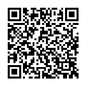 另外又看到有两位亲的和氏璧打赏……你们赢了二维码生成