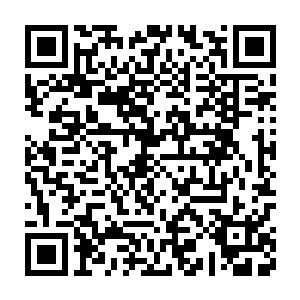 另外大量无法购得席位或者不愿花冤枉钱的筑基期修士和炼气期修士二维码生成