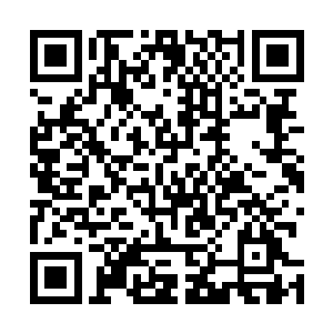 另外我还会把先生最近的日程安排和出行路线提供给你们二维码生成