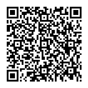 另有两个轻伤……只有他和另外一个实力也同样非常强横的至尊境后期的高手毫发无损的二维码生成