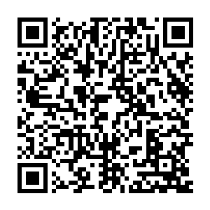 只不过……叶笑眼看着这位鞠老爷子一副老态龙钟犹如风中残烛的模样二维码生成