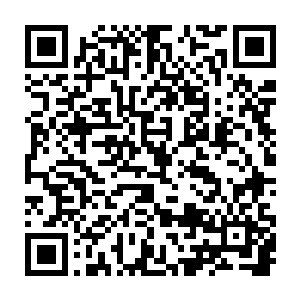 只不过万鬼窟自动再生成的第一层最强者所佩戴的物件和着装的装束与之前不同二维码生成