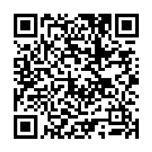 只不过他们必须按照天然集团的程序和标准去种地二维码生成