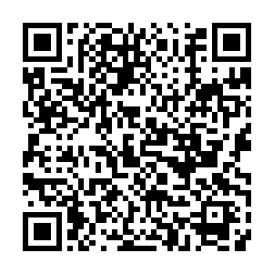 只不过他们爆炸产生的巨大灵魂冲击都被从白夜身上散发出的血雾给挡了下来二维码生成