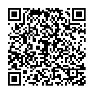 只不过他和默都担心过度使用神血能力会导致他体内神血石能量暴走二维码生成