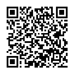 只不过在那柄巨大的龙刃动荡瞬间化作了一条狂龙飞荡起来二维码生成