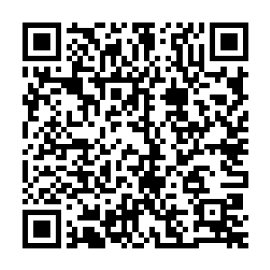 只不过大预言术涉及了多元宇宙最深层次的秘密――时间流和命运流二维码生成