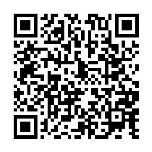 只不过想不到别人汇聚弟子的办法确实比我的要诡秘二维码生成