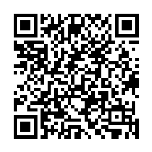 只不过手段和方式可能会稍微的有那么一些不太一样罢了二维码生成