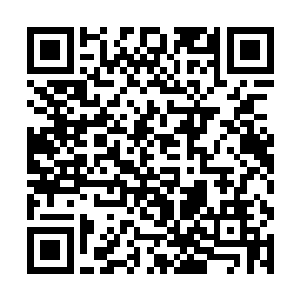 只不过旋转一半的苏凡却瞬间射出了手中的飞刀……二维码生成