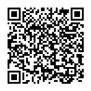 只不过既然除了宿主所在的这个大千世界之外还有系统创造者所在的大千世界二维码生成