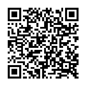 只不过是让他为卡卡的兽皇之位再次巩固一番罢了二维码生成