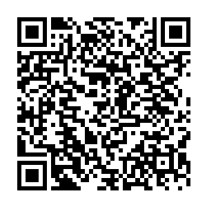 只不过是轩辕无极收买底层人心和操弄制造舆论声势的小把戏而已二维码生成