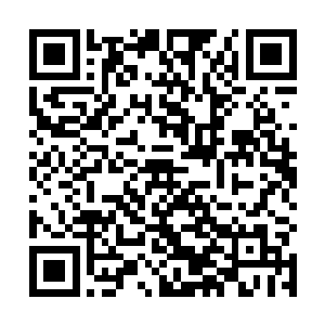 只不过曹刚把自己从沈子烈身畔拉走却又是什么意思呢二维码生成