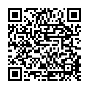 只不过正常的下人在没有主人的同意下是不敢去动人家储物袋的二维码生成