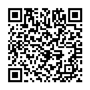 只不过此刻这家伙俊美的脸庞上却浮现着愤怒和惊慌之色二维码生成