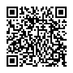 只不过没有把握去对抗战王门背后的势力才不敢做出决定二维码生成