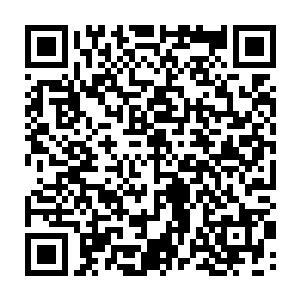 只不过消耗的不是真气也不是精神力而是一种对风天翔似乎没影响的特殊能量二维码生成