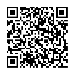 只不过神荼为此付出的代价也不小――被柯蒙打的鼻青脸肿二维码生成