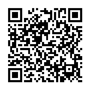 只不过罗杰斯和皮勒两个人现在可能不会理解的这么深刻二维码生成