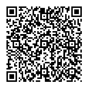 只不过诡异的是 原本该漫天金色光芒的宫殿在红色的天穹之下 也是化作了血红 看起來格外的诡异二维码生成