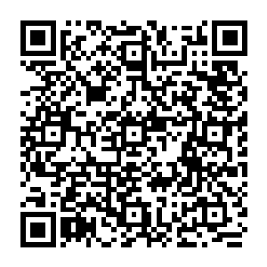 只不过这一片的地上却生长出了上一次杨晨在城外看到的那种黄色的带着魂力的草二维码生成