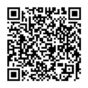 只不过这样的行为看在一些小辈的眼里就加的让人绝望和没有底气二维码生成