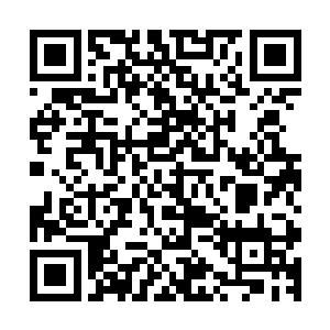 只不过陈长生是教宗陛下指定的接班人……所以他说的是敢字二维码生成
