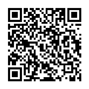 只专注地同冬至几个一而再再而三地叮咛伴金石的模样二维码生成