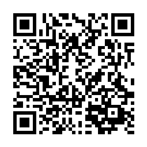 只做了一件事――用最快的速度从怀中拿出一根金属圆筒二维码生成