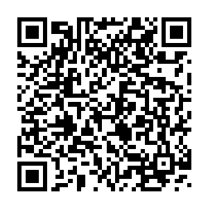 只剩下雨果那因为过于激动而微微颤抖的声音在现场的空间里回荡着二维码生成