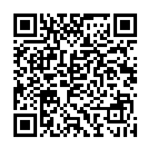 只剩数百枚最简单的法宝构件还稀稀拉拉地悬浮在半空中二维码生成
