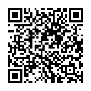 只可惜 死去的人不会再复活 而受到伤害的人 也很难痊愈二维码生成