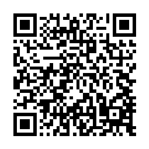 只因一脸狞笑的司空无畏抡开双臂又是轰隆隆一锤砸了过来二维码生成