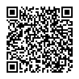 只因为眼前这小男孩阴魂刚才的可怜兮兮模样浓重了我对我家咕仔的思念担忧二维码生成