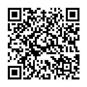 只因为苏凡已经拿起他给的金砖一把拍在了他的面门上二维码生成