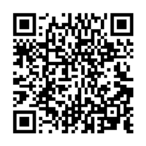 只在家里一心一意照顾病重的夏杰和刚刚出生的夏玲珑二维码生成