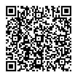 只好奇的用神识瞅着破完阵后忙着寄生融合的罗生花用肉眼可见的速度修改着自己的外形二维码生成