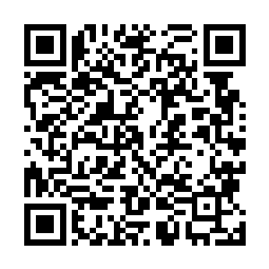 只存在传说里的凤血石怎么会在一群人的胡闹之下出现了二维码生成
