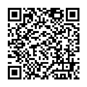 只得硬着头皮把所有界主的注意重点再次转到我身上二维码生成